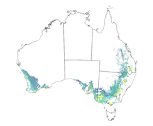 Picture of AgriYieldz API access ANNUAL SUBSCRIPTION - New South Wales