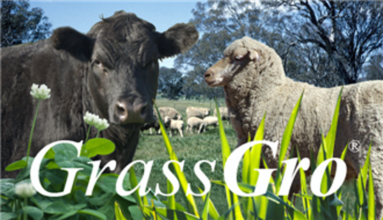 Picture of GrassGro - ANNUAL SUBSCRIPTION (Software Key)